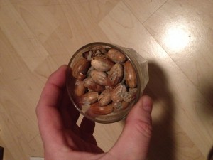 Holzwurm-Bekämpfung ohne Gift