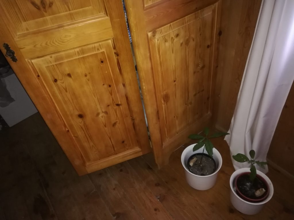 Der Schrank, der hier auf dem Bild zu sehen ist, wäre kaputtgeschlagen und entsorgt worden.