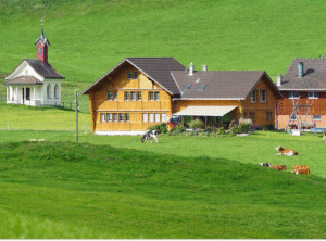 Appenzeller u. toggenburger Fenster: Zugläden und Falläden