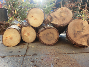Altes Holz brennt nicht / schlecht