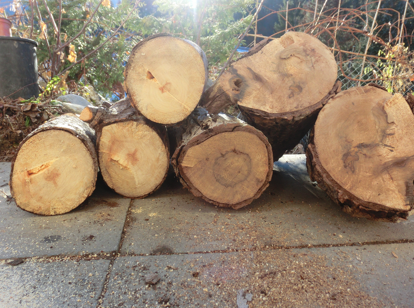 Gesägtes Holz gibt gleich mehrfach warm (Foto Remo Maßat)