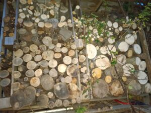 Brennholzunterstand aus Paletten selber bauen